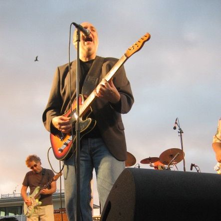 Summer Concerts guitarist