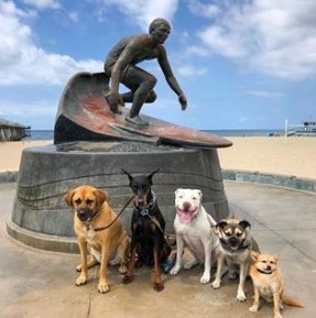 Dogs with Hermosa Surfer Statue